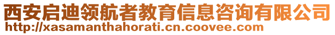 西安啟迪領(lǐng)航者教育信息咨詢有限公司