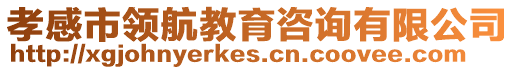 孝感市領(lǐng)航教育咨詢有限公司