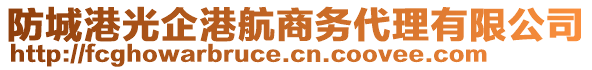 防城港光企港航商務(wù)代理有限公司