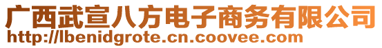 廣西武宣八方電子商務(wù)有限公司