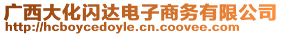 廣西大化閃達(dá)電子商務(wù)有限公司