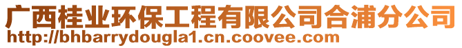 廣西桂業(yè)環(huán)保工程有限公司合浦分公司