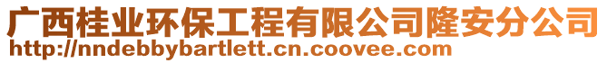 廣西桂業(yè)環(huán)保工程有限公司隆安分公司