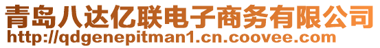 青島八達(dá)億聯(lián)電子商務(wù)有限公司