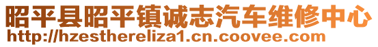 昭平县昭平镇诚志汽车维修中心