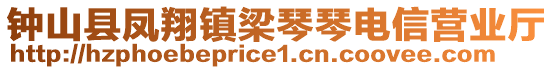 鐘山縣鳳翔鎮(zhèn)梁琴琴電信營業(yè)廳