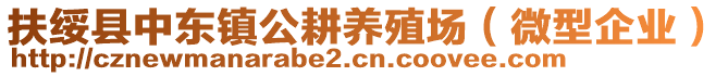 扶綏縣中東鎮(zhèn)公耕養(yǎng)殖場（微型企業(yè)）