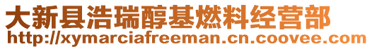 大新县浩瑞醇基燃料经营部