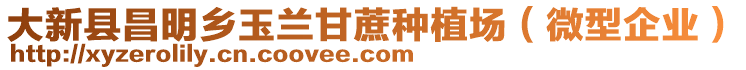 大新縣昌明鄉(xiāng)玉蘭甘蔗種植場（微型企業(yè)）