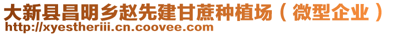 大新縣昌明鄉(xiāng)趙先建甘蔗種植場(chǎng)（微型企業(yè)）