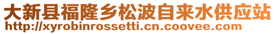 大新县福隆乡松波自来水供应站