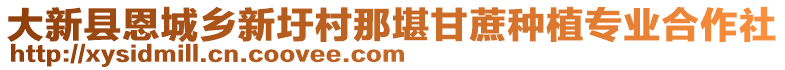 大新縣恩城鄉(xiāng)新圩村那堪甘蔗種植專業(yè)合作社