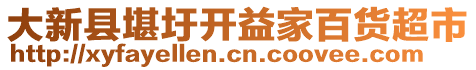 大新縣堪圩開益家百貨超市