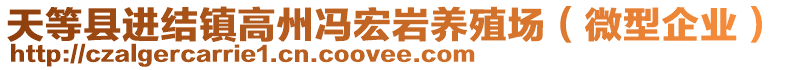 天等县进结镇高州冯宏岩养殖场（微型企业）