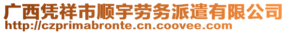 广西凭祥市顺宇劳务派遣有限公司