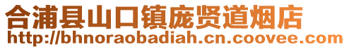 合浦县山口镇庞贤道烟店