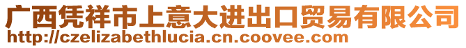 广西凭祥市上意大进出口贸易有限公司