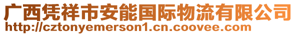 廣西憑祥市安能?chē)?guó)際物流有限公司