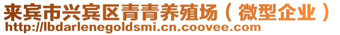 來賓市興賓區(qū)青青養(yǎng)殖場（微型企業(yè)）