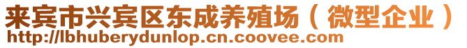 來賓市興賓區(qū)東成養(yǎng)殖場（微型企業(yè)）