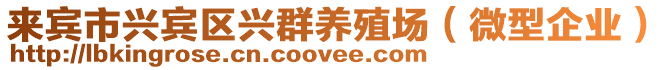 來賓市興賓區(qū)興群養(yǎng)殖場(chǎng)（微型企業(yè)）