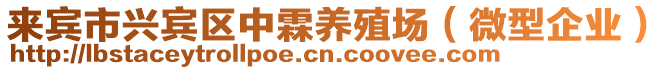 來賓市興賓區(qū)中霖養(yǎng)殖場（微型企業(yè)）