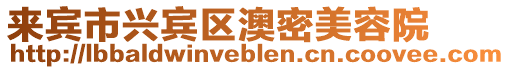 來賓市興賓區(qū)澳密美容院