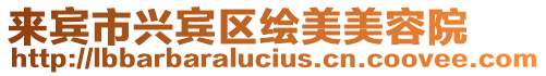 來(lái)賓市興賓區(qū)繪美美容院