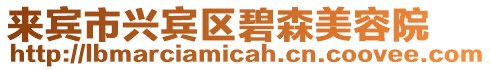 來賓市興賓區(qū)碧森美容院