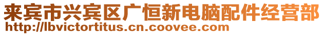 來(lái)賓市興賓區(qū)廣恒新電腦配件經(jīng)營(yíng)部