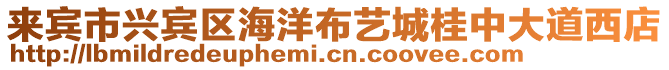 來賓市興賓區(qū)海洋布藝城桂中大道西店