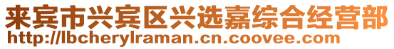 來賓市興賓區(qū)興選嘉綜合經營部