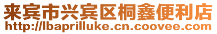 來賓市興賓區桐鑫便利店