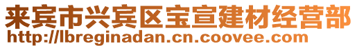 來賓市興賓區寶宣建材經營部