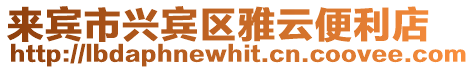 來賓市興賓區雅云便利店
