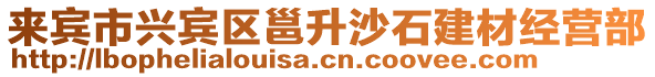 來賓市興賓區邕升沙石建材經營部