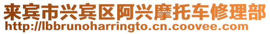 來賓市興賓區阿興摩托車修理部