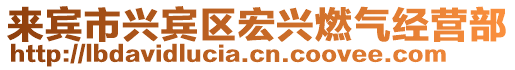 來賓市興賓區宏興燃氣經營部