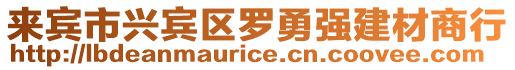 來賓市興賓區羅勇強建材商行