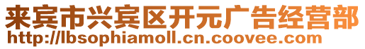 來賓市興賓區開元廣告經營部