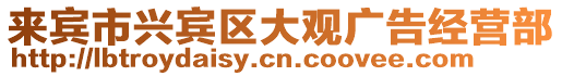 來賓市興賓區大觀廣告經營部