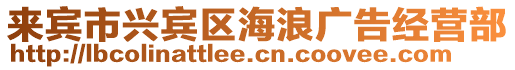 來賓市興賓區海浪廣告經營部