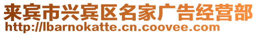 來賓市興賓區(qū)名家廣告經(jīng)營部