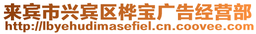 來賓市興賓區(qū)樺寶廣告經(jīng)營部