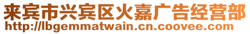 來賓市興賓區火嘉廣告經營部