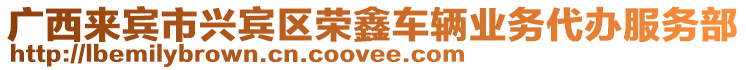 廣西來(lái)賓市興賓區(qū)榮鑫車輛業(yè)務(wù)代辦服務(wù)部