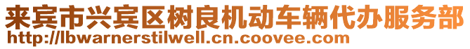 來賓市興賓區樹良機動車輛代辦服務部