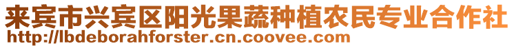 來賓市興賓區(qū)陽光果蔬種植農(nóng)民專業(yè)合作社