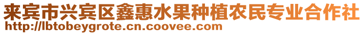 來賓市興賓區鑫惠水果種植農民專業合作社