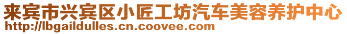 來(lái)賓市興賓區(qū)小匠工坊汽車(chē)美容養(yǎng)護(hù)中心